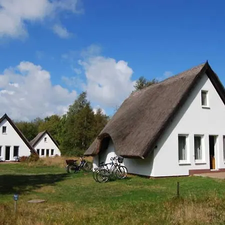 Doppelhaushaelfte In Auf Hiddensee *