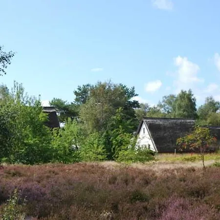 Апартаменты Doppelhaushaelfte In Auf Hiddensee *