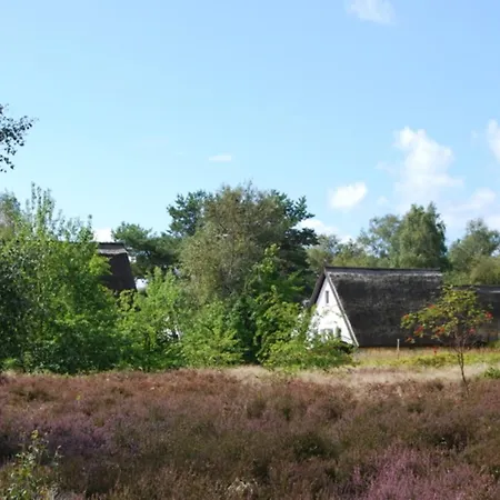 Apartman Doppelhaushaelfte In Auf Hiddensee Vitte