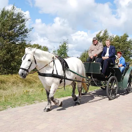 Doppelhaushälfte In Auf Hiddensee * Vitte