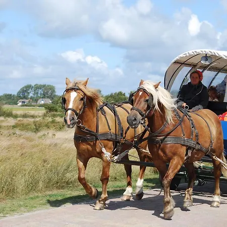 Doppelhaushälfte In Auf Hiddensee Apartment
