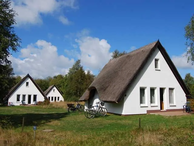 Doppelhaushaelfte In Auf Hiddensee *